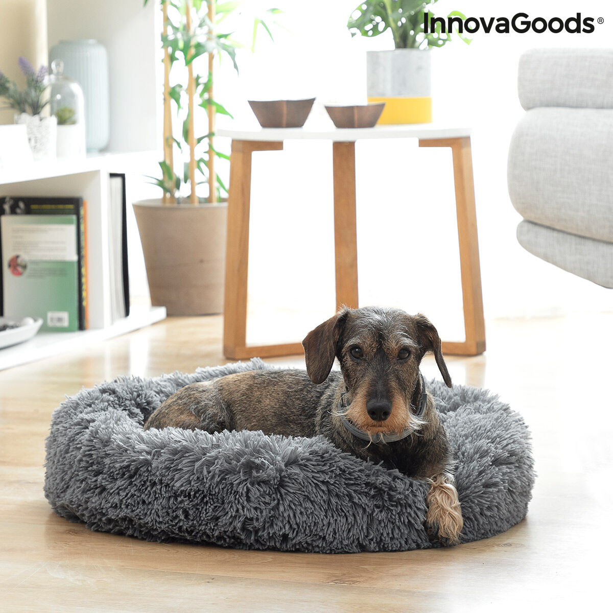 DUXAN Anti-Stress Dog Bed 🐶