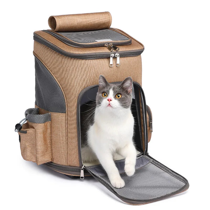 Comfort Pet Carrier Backpack – Travel with Your Pet Anywhere