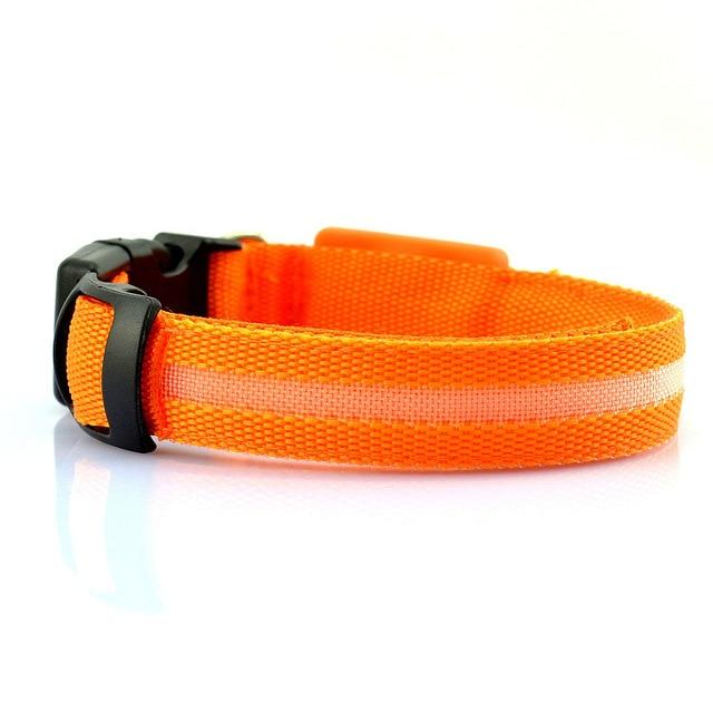DUXAN LED Dog Collar – Night Safety Light 🐶