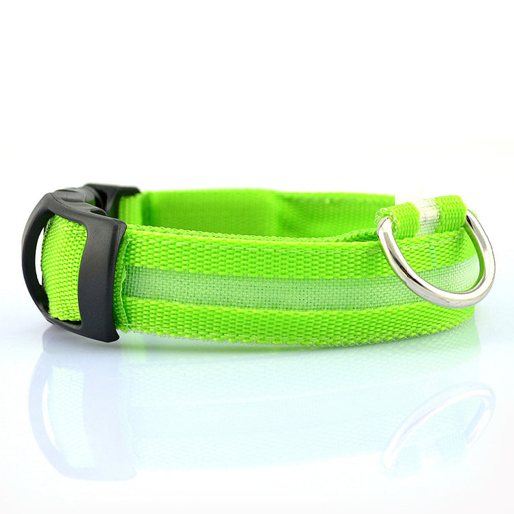 DUXAN LED Dog Collar – Night Safety Light 🐶