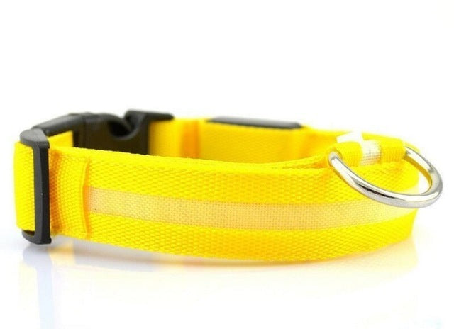 DUXAN LED Dog Collar – Night Safety Light 🐶